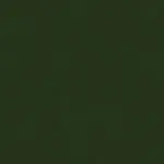 Hunza Olive finish swatch